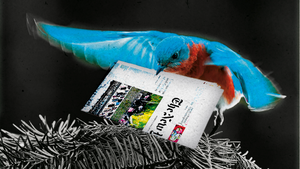 Les sites d’info doivent-ils s’inspirer des grandes plateformes ?